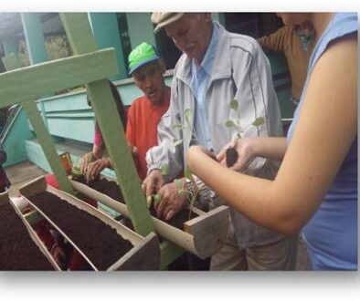 Projeto Cultivando Amor